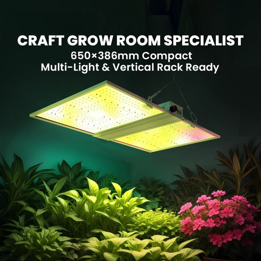 RG Series Full Spectrum LED Grow Light (320W / 480W) for 3×3 & 4×4 Grow Tents