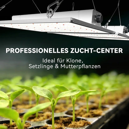 Compact 150W Full Spectrum Lighting for Small Grow Spaces