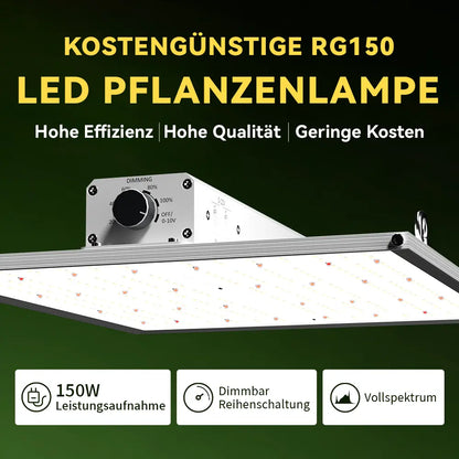 Compact 150W Full Spectrum Lighting for Small Grow Spaces
