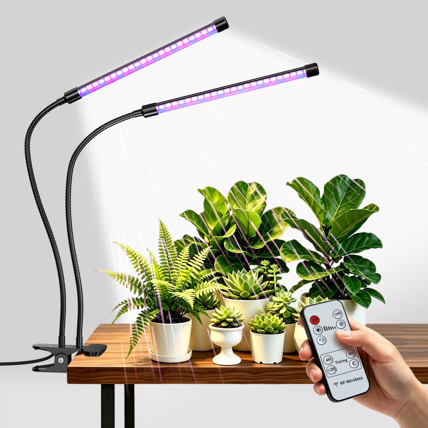 Luz de cultivo LED con pinza, mando a distancia y temporizador