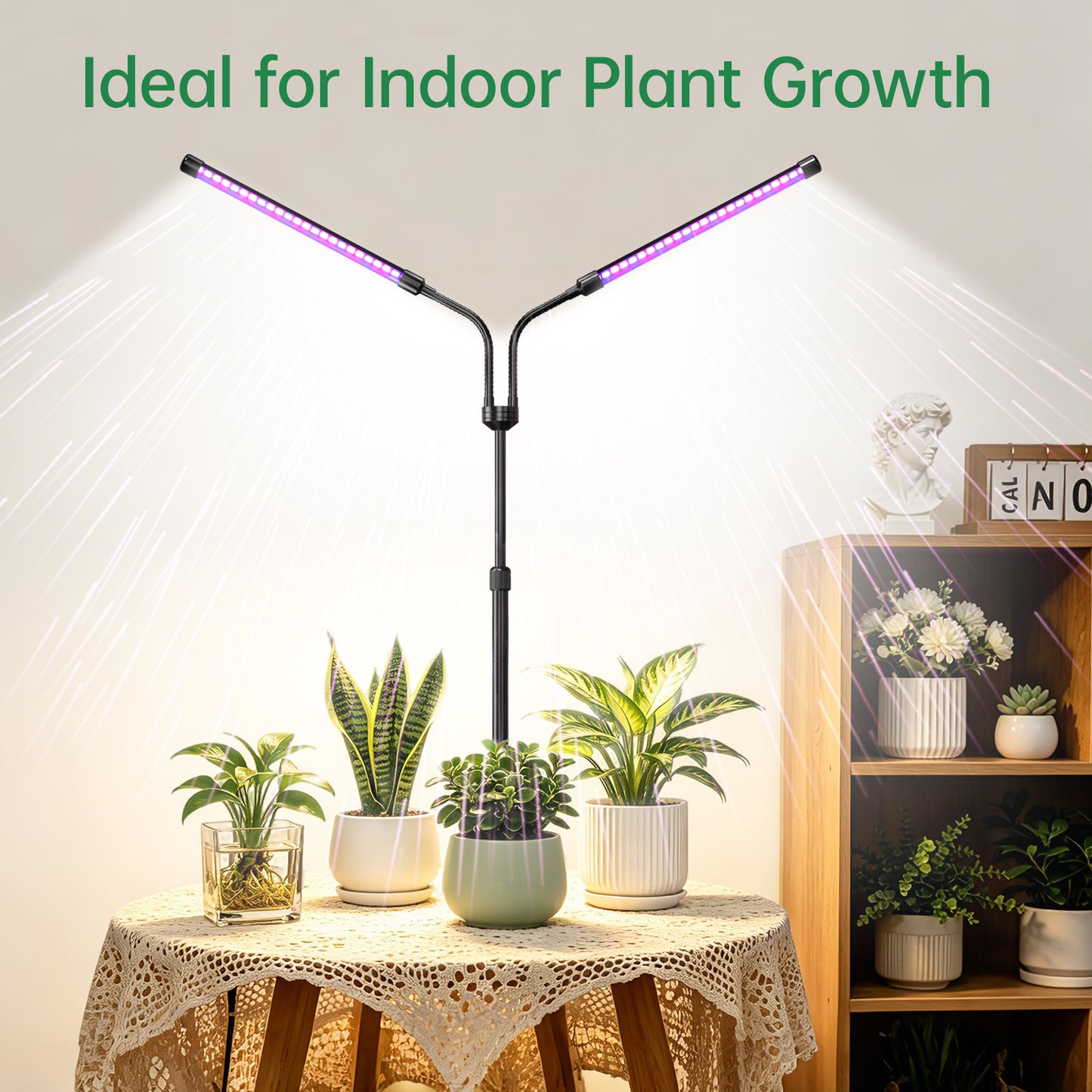 Nanolux Desktop Full Spectrum LED Grow Light 2-Head - image 2
