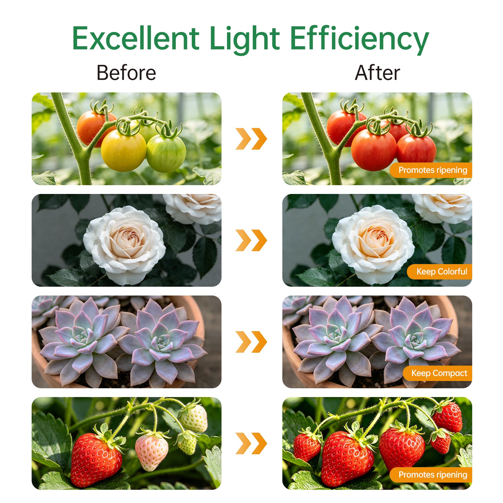 Nanolux Desktop Full Spectrum LED Grow Light 2-Head - image 11