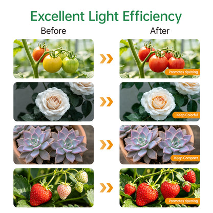 Nanolux Desktop Full Spectrum LED Grow Light 2-Head - image 11