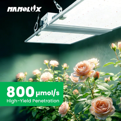 Nanolux RG300 PPFD and canopy coverage