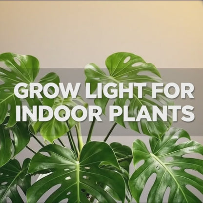 Luz de cultivo LED con pinza, mando a distancia y temporizador