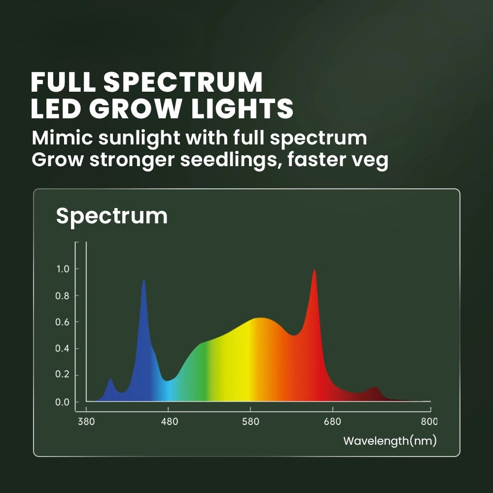 Compact 150W Full Spectrum Lighting for Small Grow Spaces
