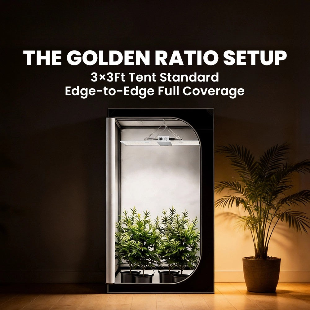 RG Series Full Spectrum LED Grow Light (320W / 480W) for 3×3 & 4×4 Grow Tents